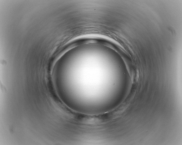 X0000091310512200708101506