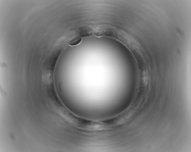 X0000091310514200708101506