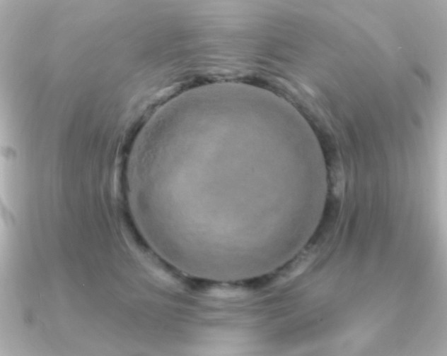 X0000091310515200708101506