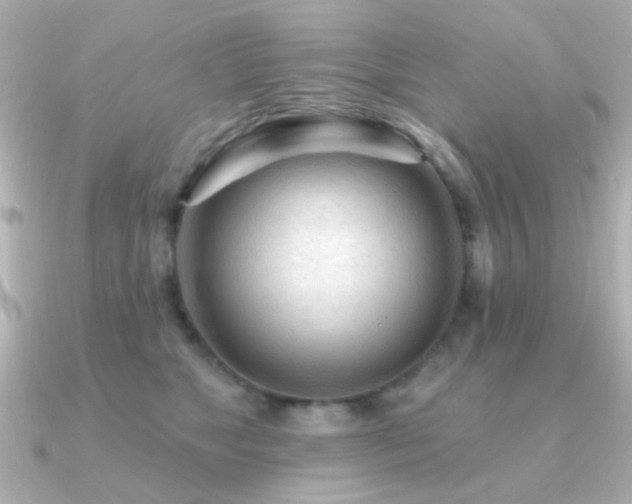 X0000091310517200708101506