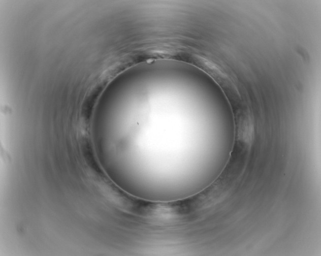 X0000091310518200708101506