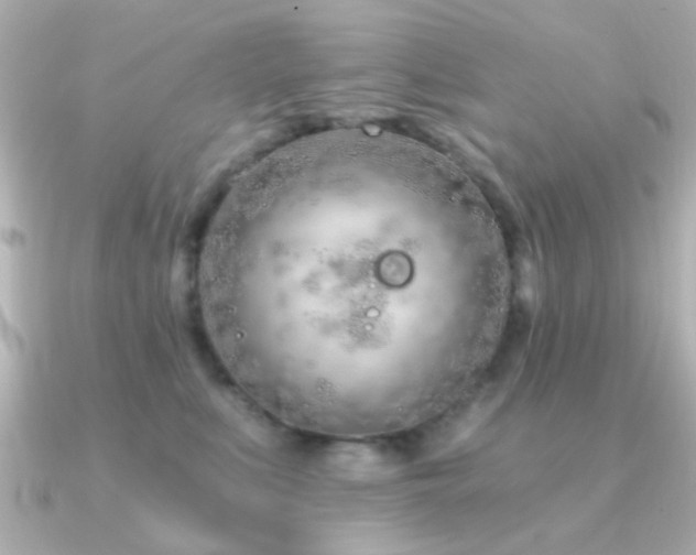 X0000091310519200708101506