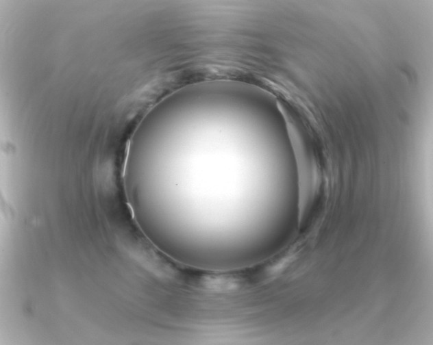 X0000091310520200708101506