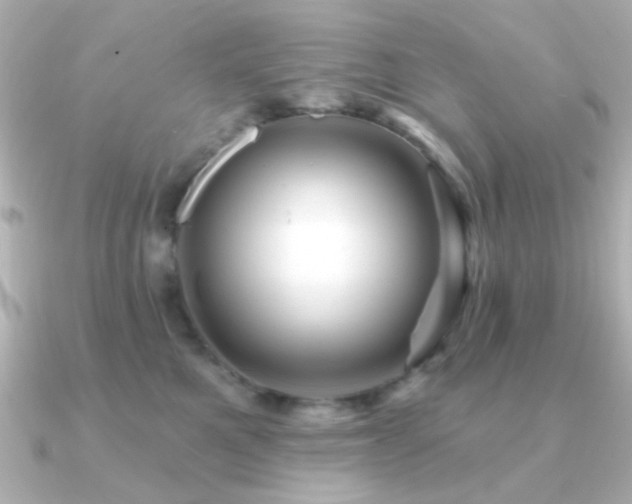 X0000091310521200708101506