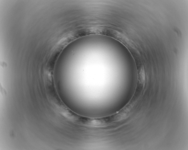 X0000091310522200708101505