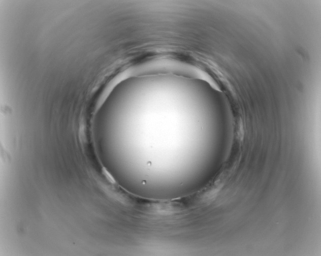 X0000091310524200708101505