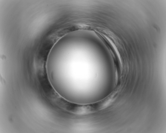 X0000091310525200708101505