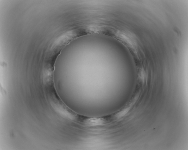 X0000091310526200708101505