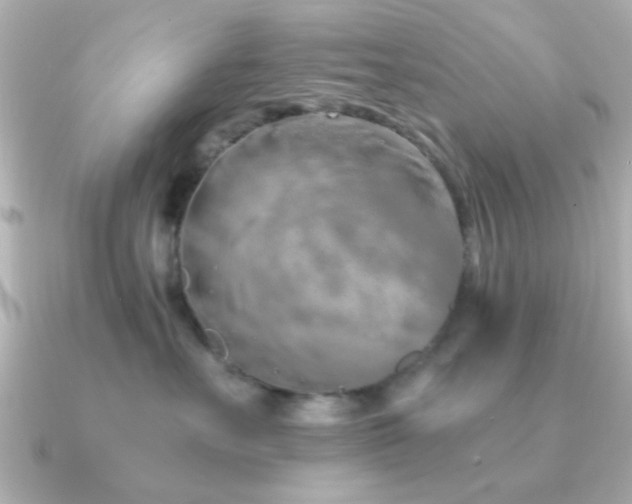 X0000091310527200708101505