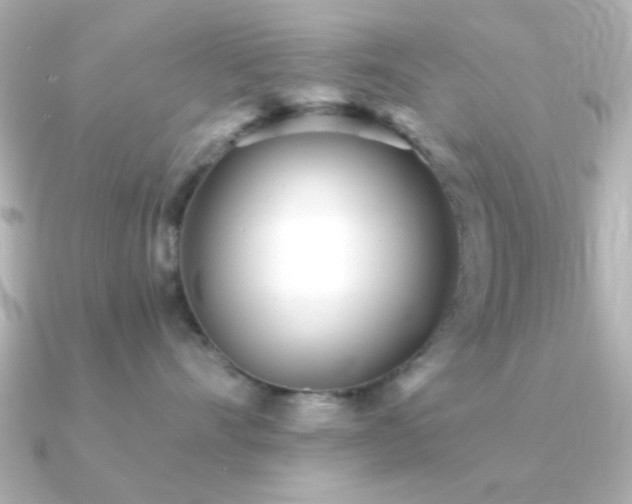 X0000091310528200708101505