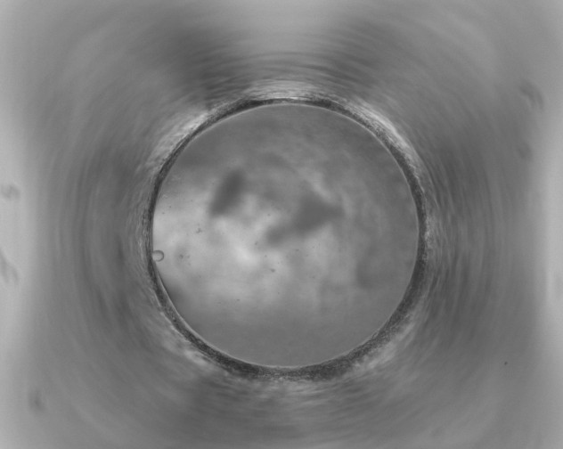 X0000091310529200708101505