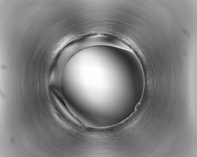 X0000091310530200708101505