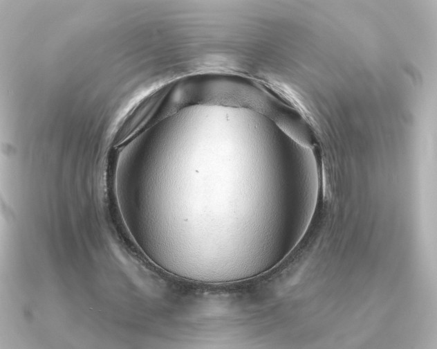 X0000091310531200708101505