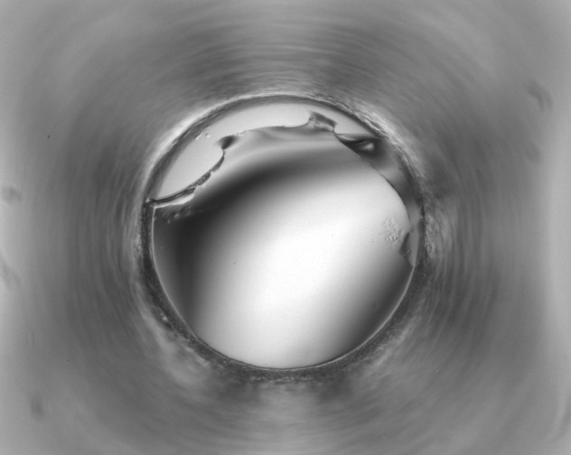 X0000091310532200708101505