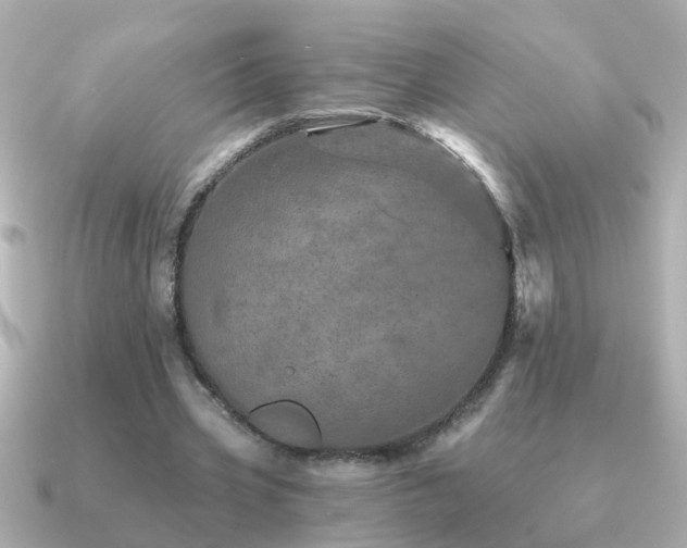 X0000091310533200708101505