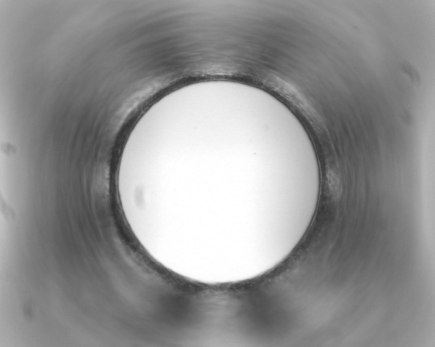 X0000091310534200708101505