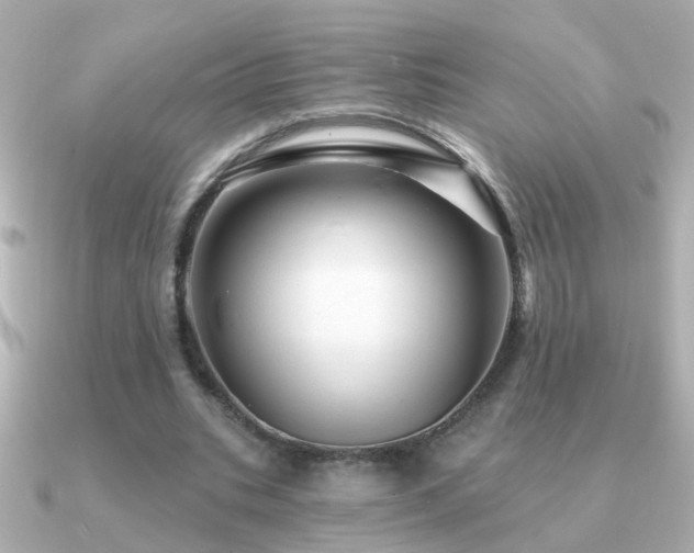 X0000091310535200708101505