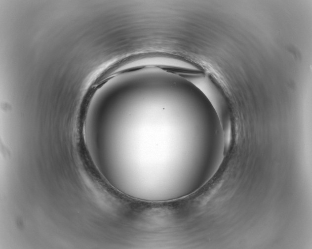 X0000091310536200708101505