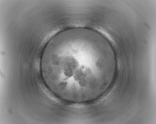 X0000091310537200708101505