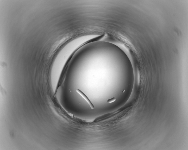 X0000091310538200708101505