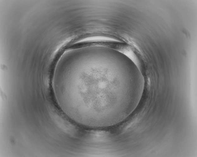 X0000091310539200708101505