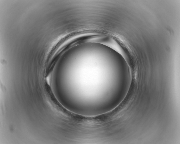 X0000091310540200708101505