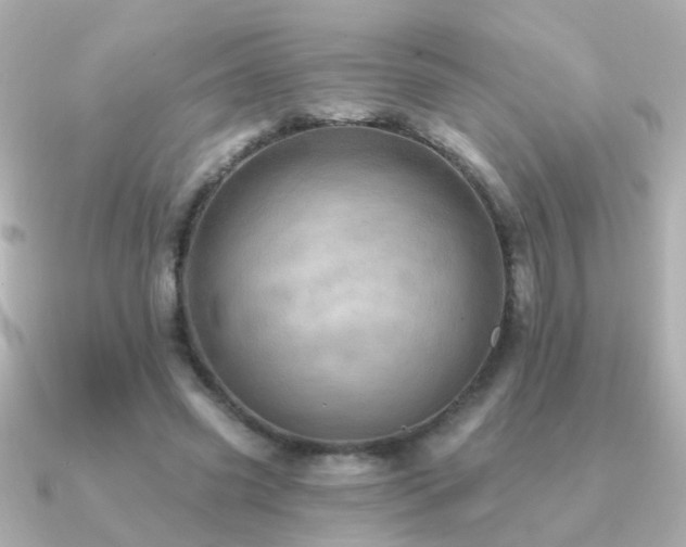 X0000091310541200708101505