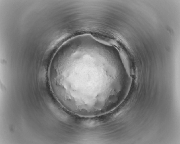 X0000091310542200708101505