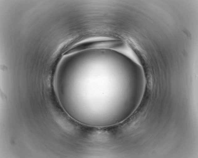 X0000091310543200708101505