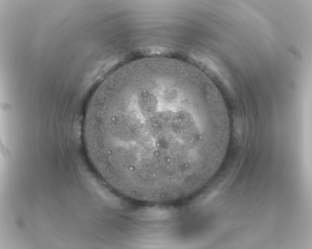 X0000091310545200708101505