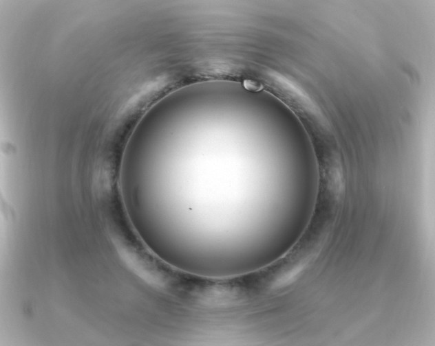 X0000091310546200708101505