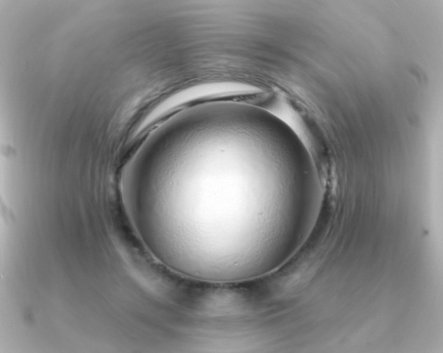 X0000091310547200708101505