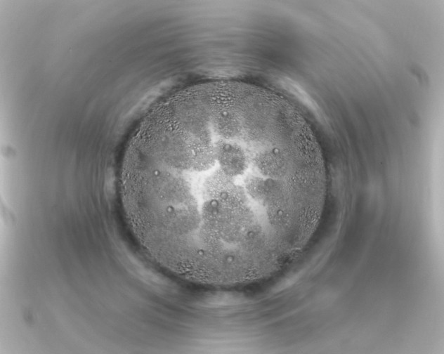 X0000091310549200708101505