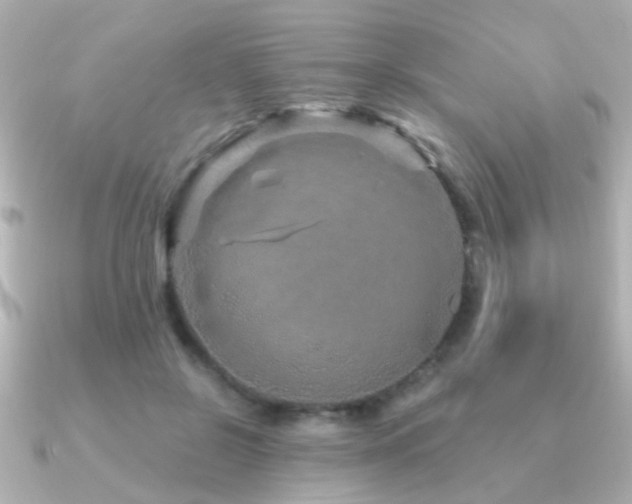 X0000091310550200708101505