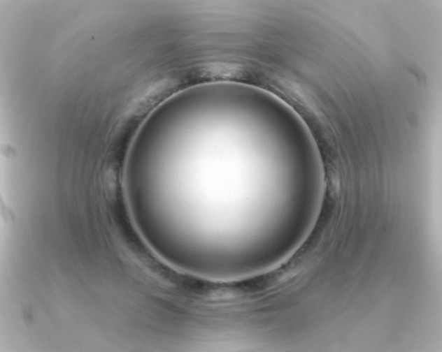 X0000091310551200708101505