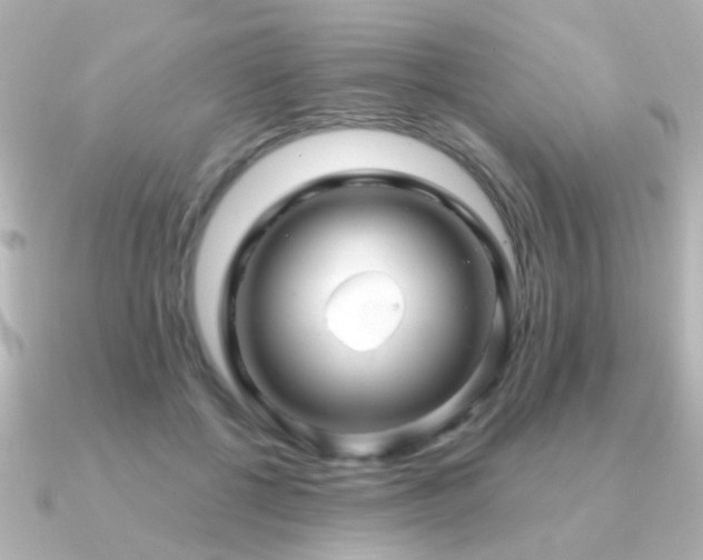 X0000091310552200708101505