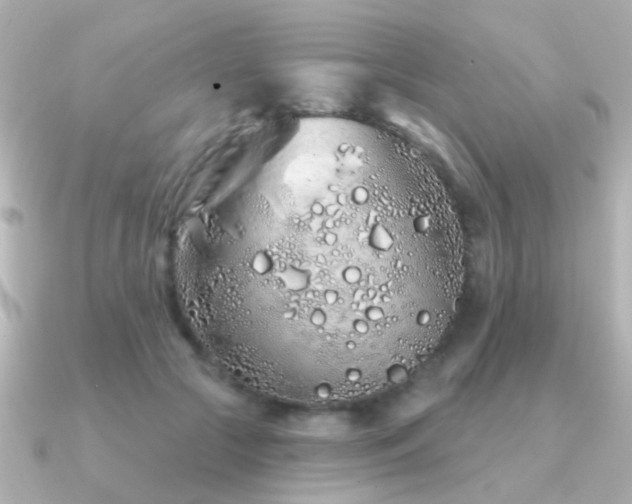 X0000091310553200708101505