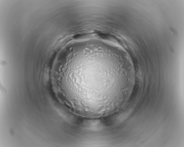 X0000091310554200708101505