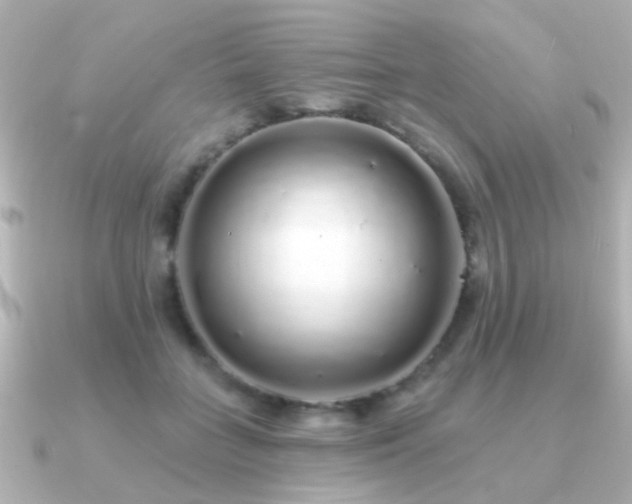 X0000091310555200708101505