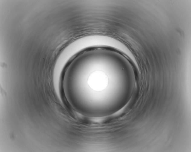 X0000091310556200708101505