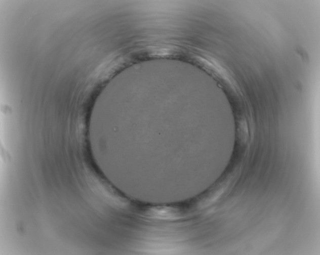 X0000091310557200708101505