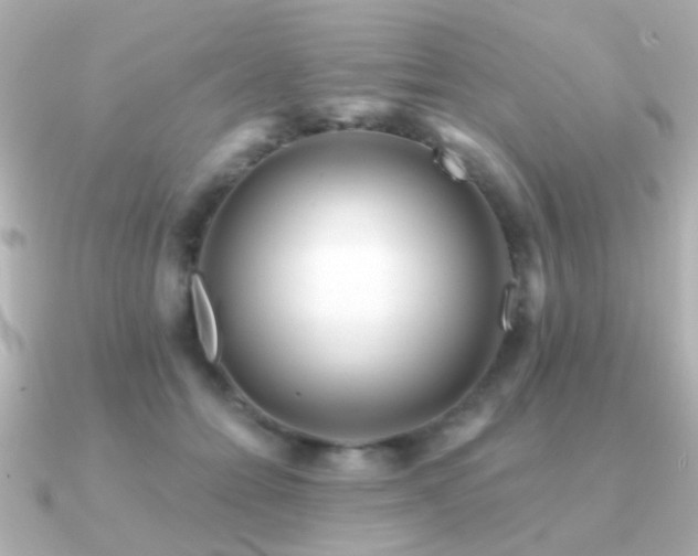 X0000091310558200708101505