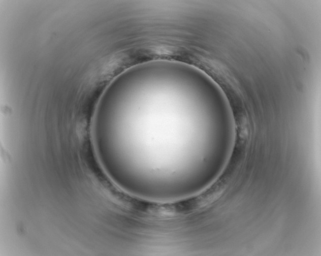 X0000091310559200708101505