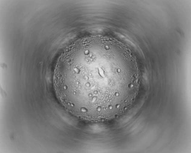 X0000091310561200708101505