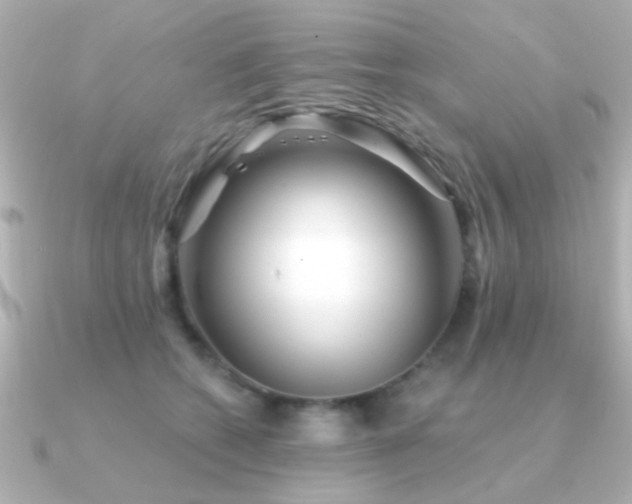 X0000091310562200708101505