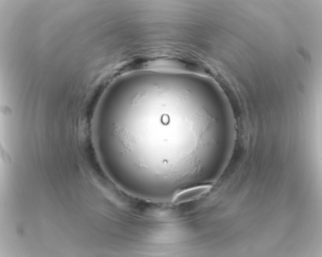 X0000091310563200708101505