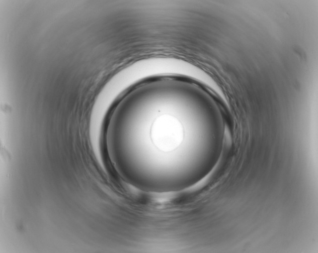 X0000091310564200708101505