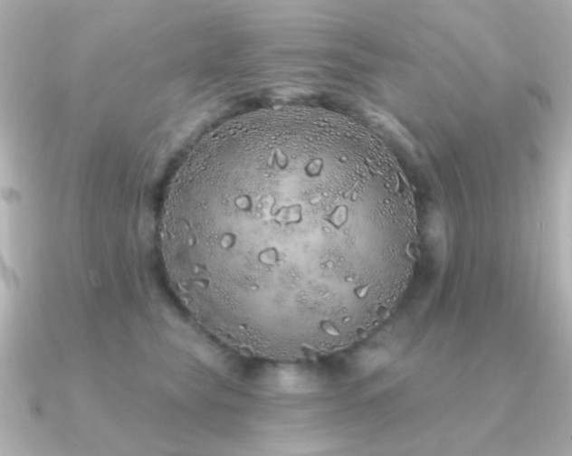 X0000091310565200708101505