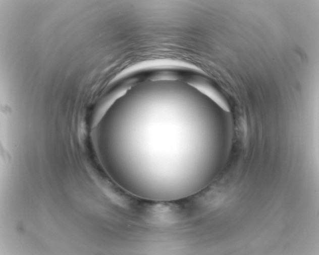 X0000091310566200708101505