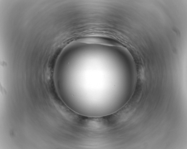 X0000091310567200708101505